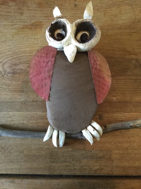 Hibou 1