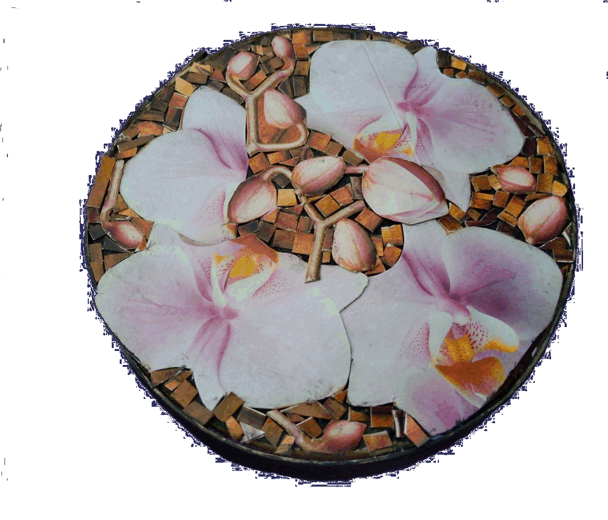 Orchidée