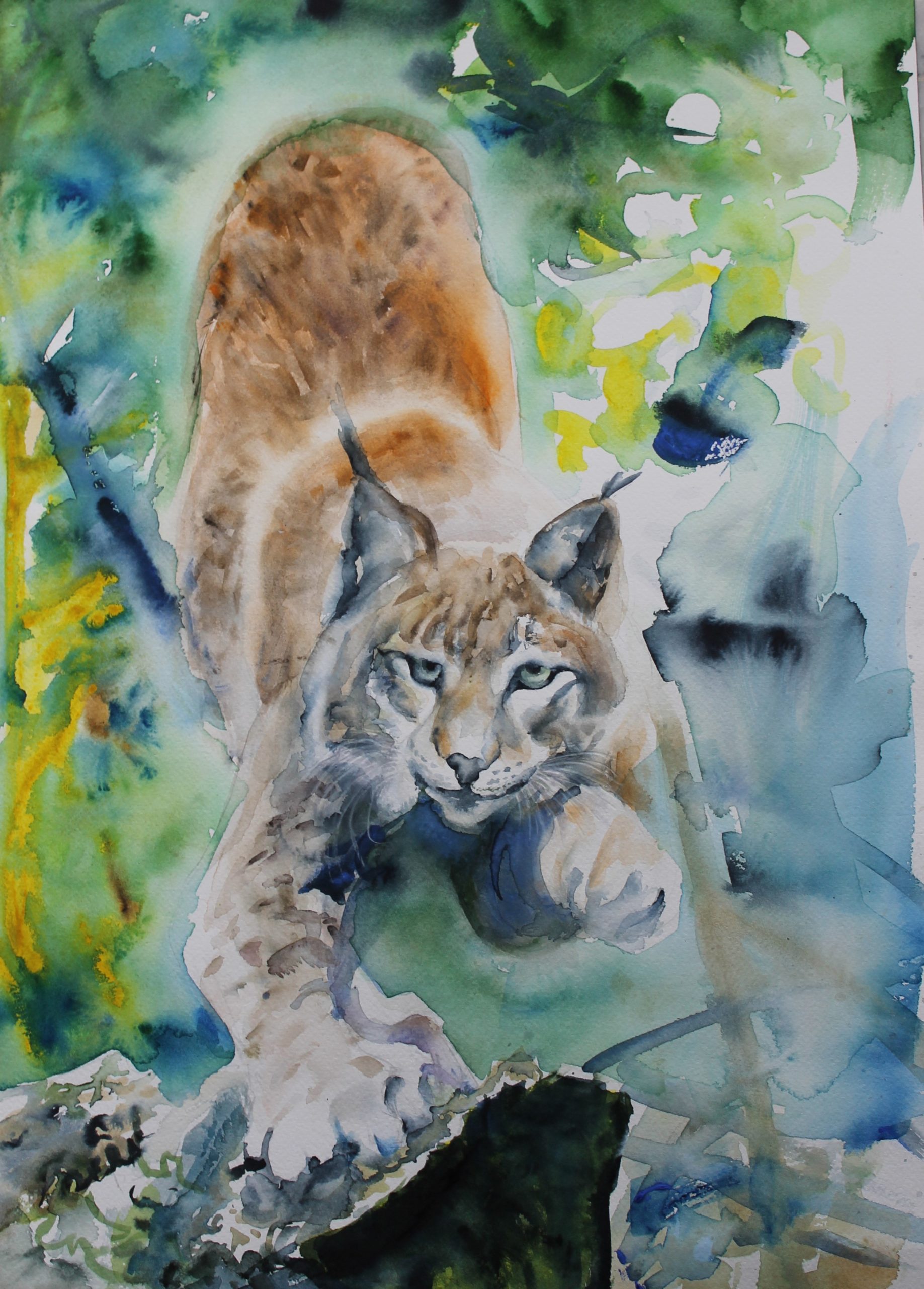 Lynx des Vosges