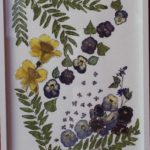 L'envol des Pensées