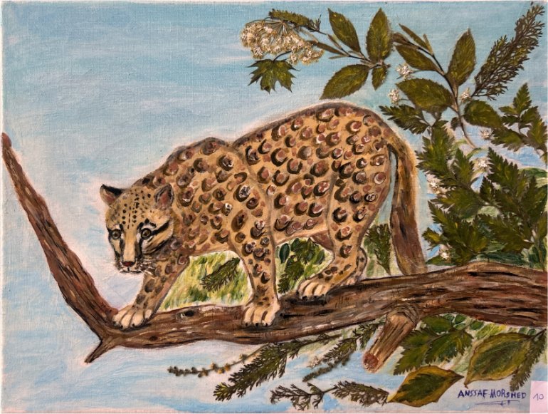 La Liberté de la Nature sauvage