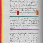 Page 4 Page 4